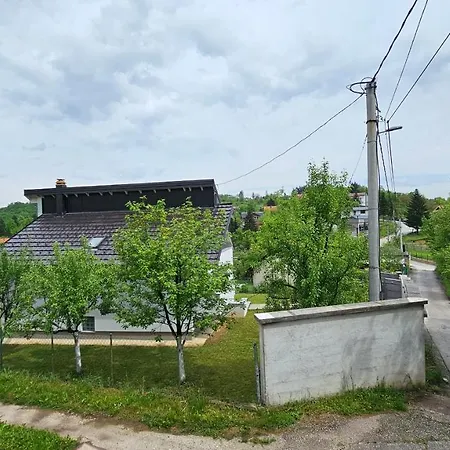 Amellina Ilidža