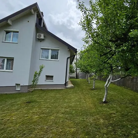 Amellina * Ilidža